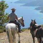 Horse riding in Thasos