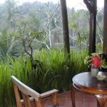 Bali Spirit Hotel & Spa, Ubud