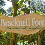 Bracknell Forest, Муннар