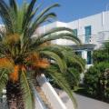 Ostria Hotel and Apartments - Andros