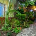 Ajijic Plaza Suites - Ajijic