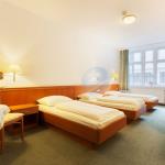 Arian Hotel Pension, Viena