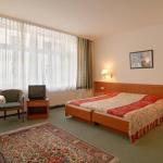 Arian Hotel Pension, Viena