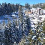 Forest Glade Hotels, Pamporovo