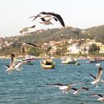 Pousada Hibiscus Beach, Armação de Búzios