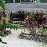 Paradise Cove Cook Islands