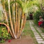 Apartamentos Adjovimar, Los Llanos de Aridane