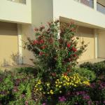 Evia Hotel & Suites, Eubea