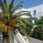 Ostria Hotel and Apartments, Andros