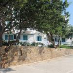 Ostria Hotel and Apartments, Andros