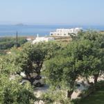 Ostria Hotel and Apartments, Andros