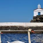 Ostria Hotel and Apartments, Andros