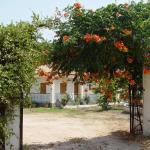 House Rena, Calcídica