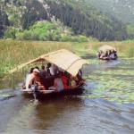 Neretva River Safari