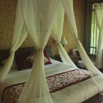 Jati Home Stay, Ubud