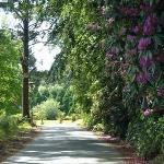 Kilcoran Lodge Hotel, Cahir