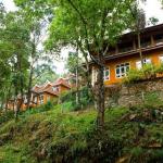 Tea Valley Resort, Munnar