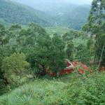 Tea Valley Resort, Munnar