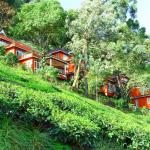 Tea Valley Resort, Munnar