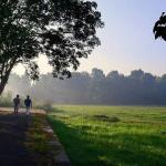 Maya Heritage, Kottayam