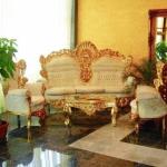 Hotel Ambassador - Baia Mare