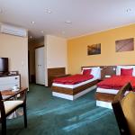 Business Double Room