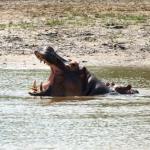 Saadani Safari Lodge, Saadani National Park