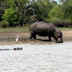 Saadani Safari Lodge, Saadani National Park