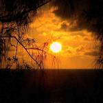 Sunrise Bungalows, Tanna