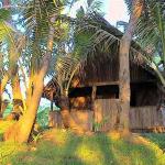 Sunrise Bungalows, Tanna