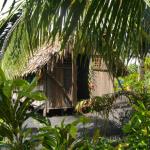 Tanna Melanesian Bungalows, Tanna