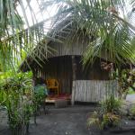 Tanna Melanesian Bungalows, Tanna