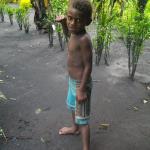 Tanna Melanesian Bungalows, Tanna