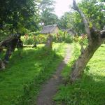 Volcano Island Paradise Bungal