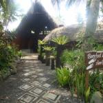 Tanna Lodge, Tanna