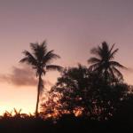 Tanna Yasur View Bungalows