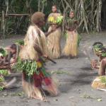 Tanna Yasur View Bungalows