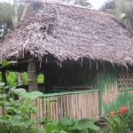 Tanna Yasur View Bungalows